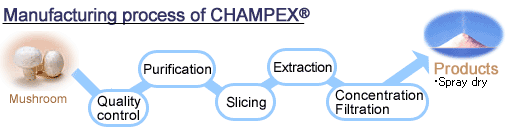 CHAMPEX® - Manufacturing Process