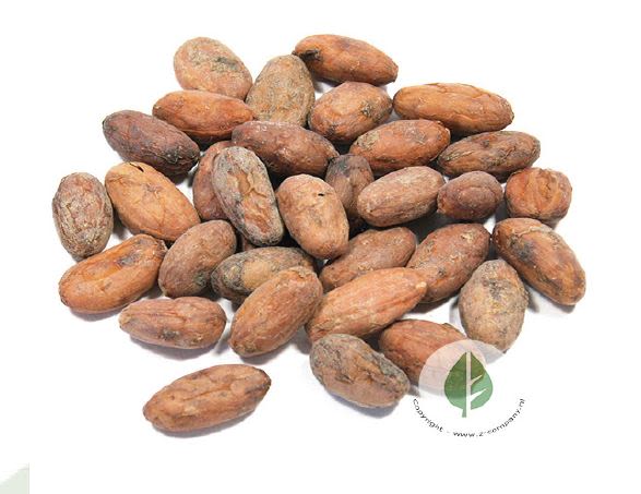 Z-Company Organic cacao beans, raw - Product Highlights