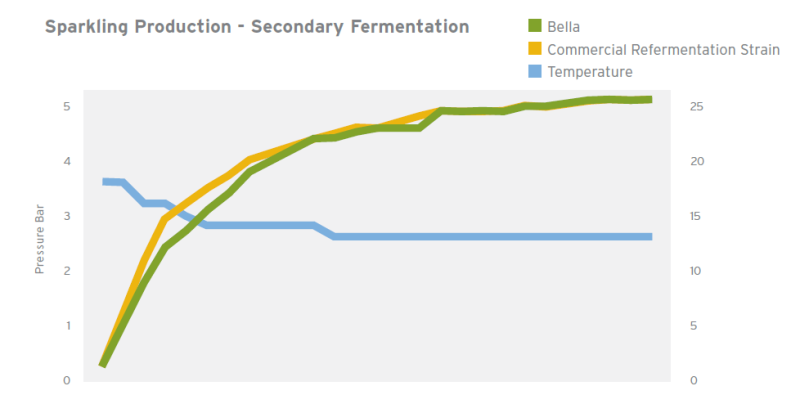 Renaissance Yeast BELLA (BEL-93) - Sparkling Production - Secondary Fermentation
