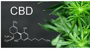 Effepharm (Shanghai) CBD - Features