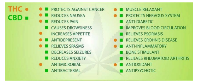 Effepharm (Shanghai) CBD - Features - 2