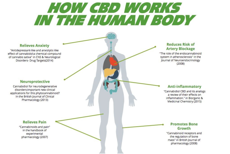 Effepharm (Shanghai) CBD - Medical Uses