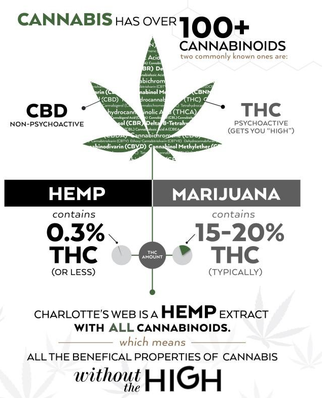 Effepharm (Shanghai) CBD - Medical Uses - 1