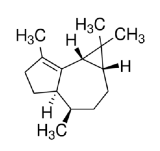 Van Aroma Gurjunene 85%+ (GB-005) - Chemical Structure