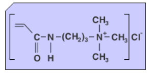 DMAPAA™ Q (N-[3-(Dimethylamino)propyl]acrylamide, methyl chloride quaternary） - Chemical Structure