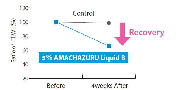 AMACHAZURU Liquid B - Inhibition of Transepidermal Water Loss(Tewl)