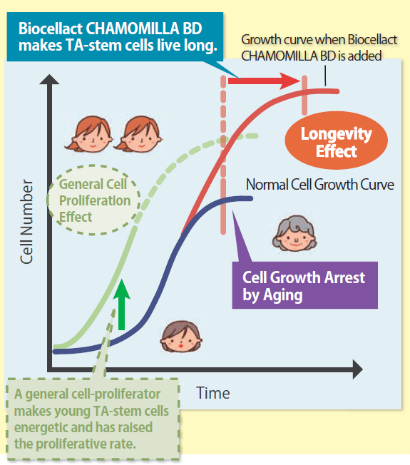Biocellact CHAMOMILLA BD - Ta- Stem Cells Proliferation And Longevity Effect
