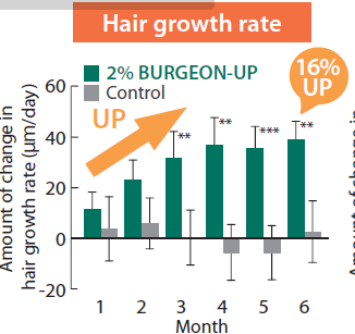 BURGEON-UP - Hair Growth in Clinical Trials - 2