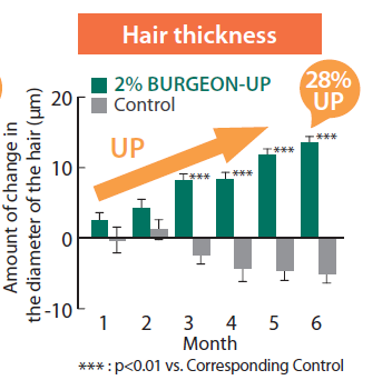 BURGEON-UP - Hair Growth in Clinical Trials