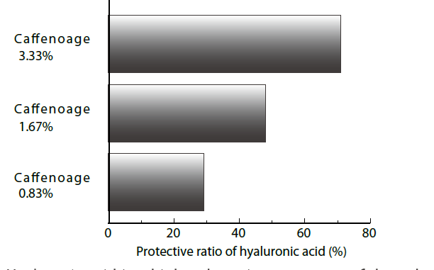 Caffenoage - Inhibition of Hyaluronic Acid Fragmentation