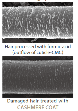 CASHMERE COAT - Treating Damages Caused By Outflow of Cuticle-Cmc