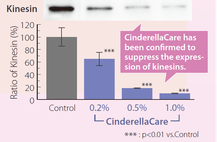 CinderellaCare - Activity To Suppress The Expression of Kinesins