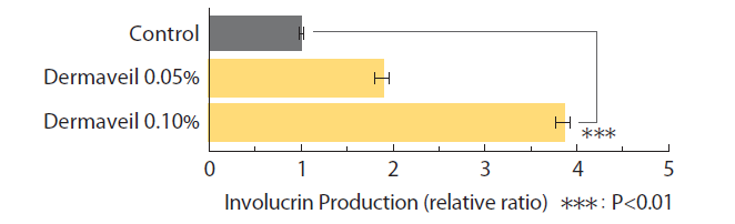 Dermaveil - Promoting Effect of Involucrin Production