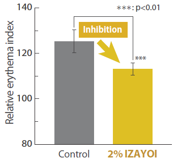 IZAYOI - Suppression of Erythema Caused By Uv Rays