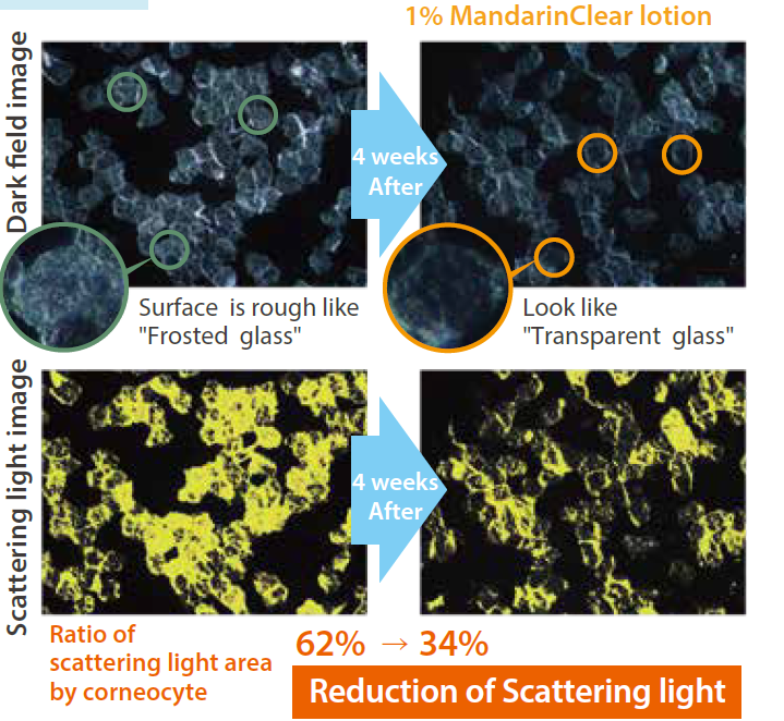 MandarinClear HS - Promotes The Formation of Smooth And Uniform Stratum Corneum - 1