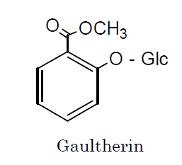 MEADOWSWEET Liquid B - Gaultherin Structure
