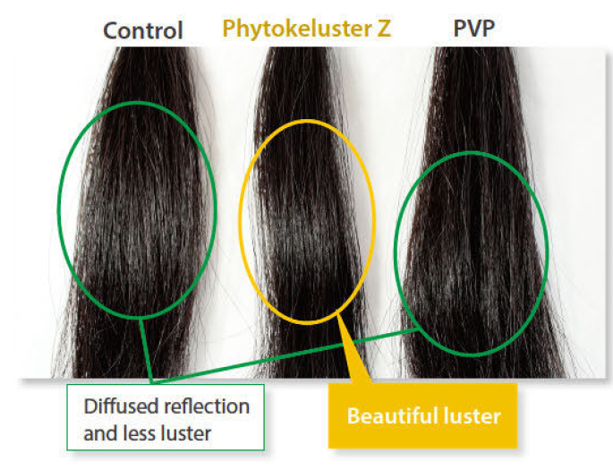 Phytokeluster Z - Improvement of Hair Luster