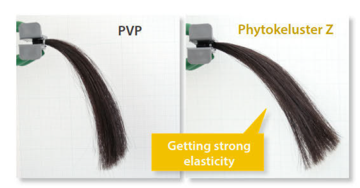 Phytokeluster Z - Impovement of Hair Elasticity