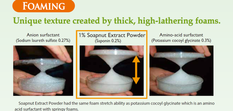 Soapnut Extract Powder - High-Quality Soapnut Extractpowder
