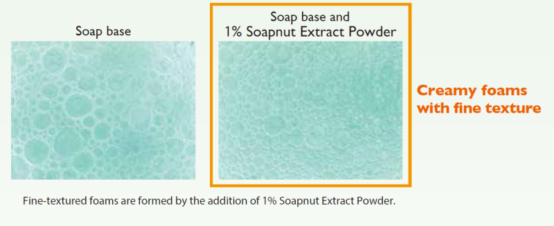 Soapnut Extract Powder - Thick, Fine-Textured Foams! The Foams Create A Pleasant Feeling During Cleansing.