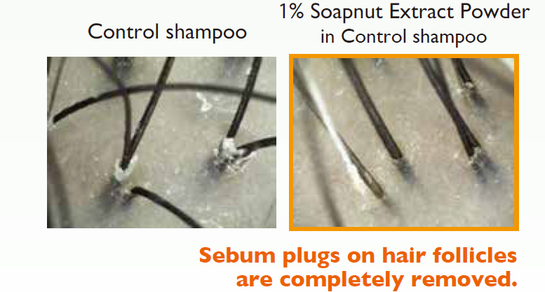 Soapnut Extract Powder - Effectively Cleanses Hair Follicles.
