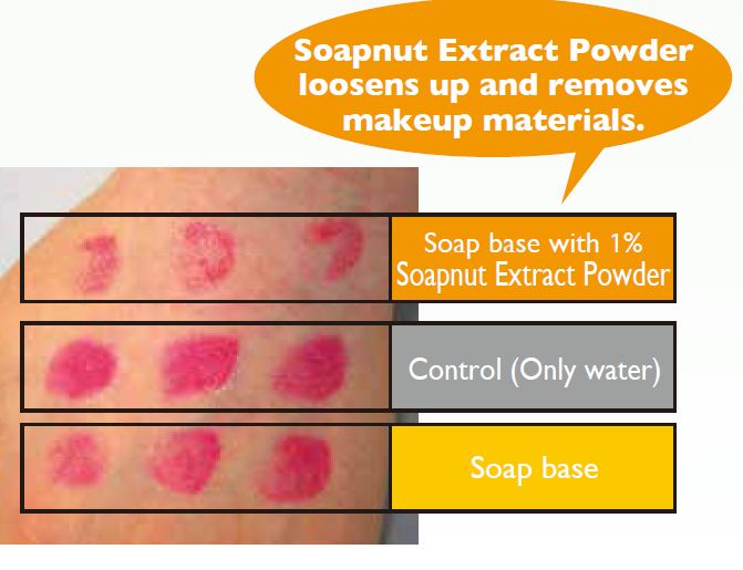 Soapnut Extract Powder - It Can Also Remove Makeup!