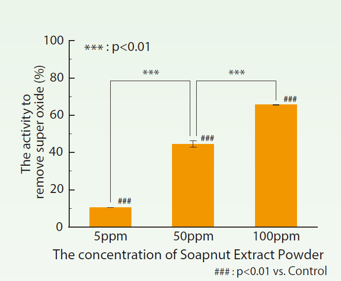 Soapnut Extract Powder - Anti-Oxidation