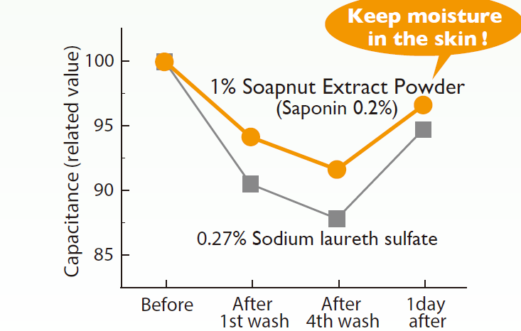 Soapnut Extract Powder - Minimizing Damage To The Skin
