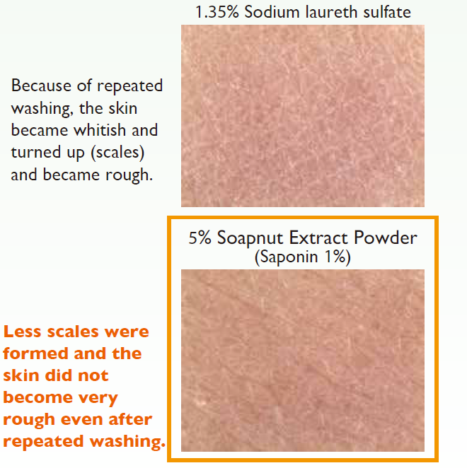 Soapnut Extract Powder - Gently Cleanses The Skin Without Damaging.