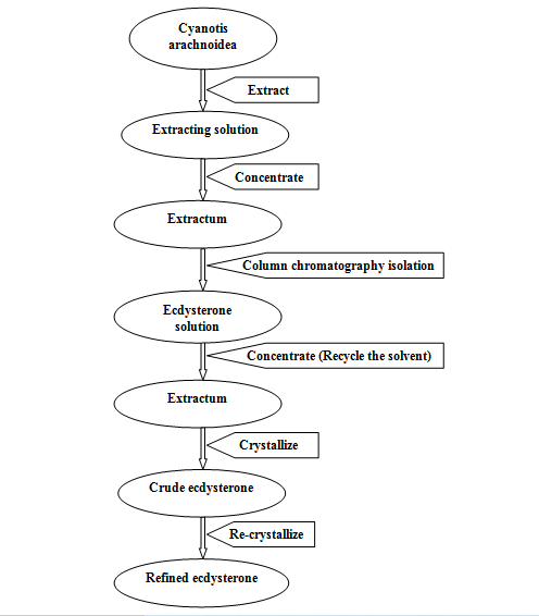 Plamed Green Science Group Ecdysterone - Manufacturer Process Flow Chart