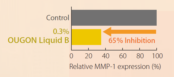 OUGON Liquid B - Inhibition of Mmp-1 Expression