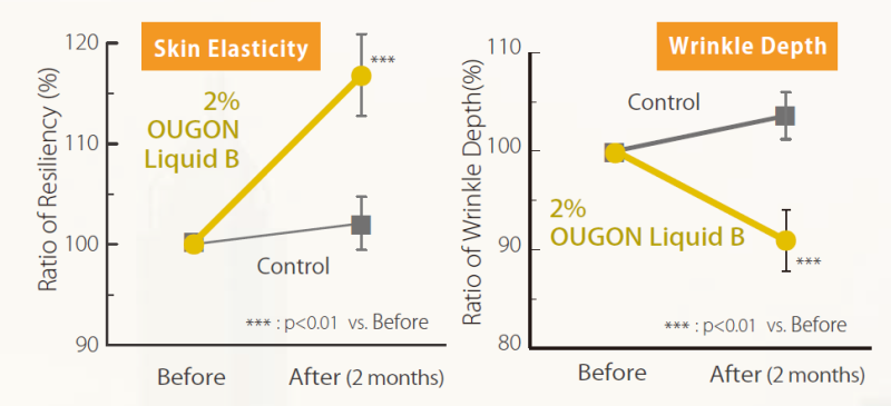 OUGON Liquid B - Anti Aging Activity - 1
