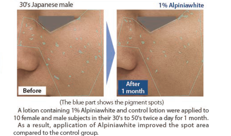 Alpiniawhite HS - Inhibition Pigmentation of Human Skin