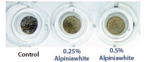 Alpiniawhite HS - Whitening in 3D Skin Model