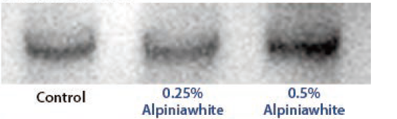 Alpiniawhite HS - Melanogenic Brake Signal 