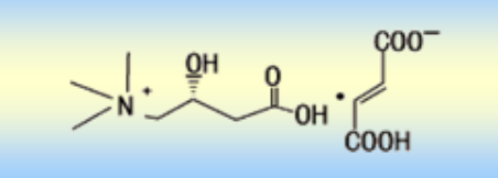 l carnitine inflammation KoncepNutra L-Carnitine Fumarate - Supplement