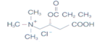 KoncepNutra Propionyl L-Carnitine HCl - Chemical Structure