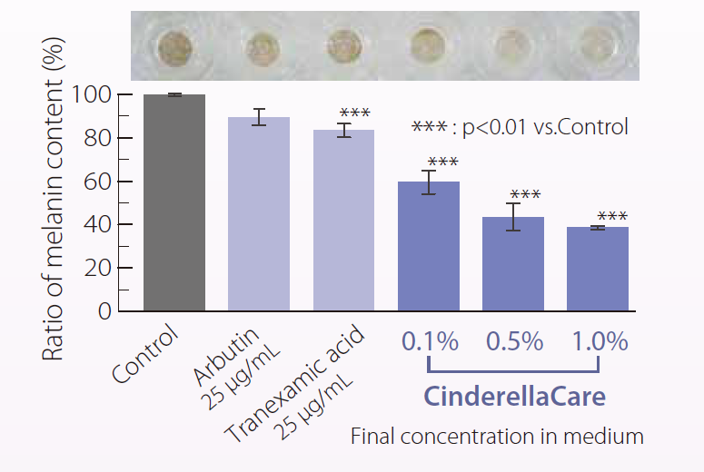CinderellaCare - Whitening Effect in 3D Skin Model