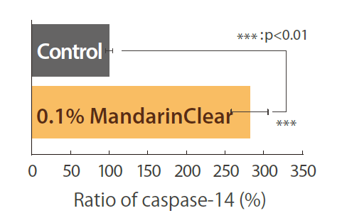 MandarinClear HS - Promotion of Caspase-14 Production