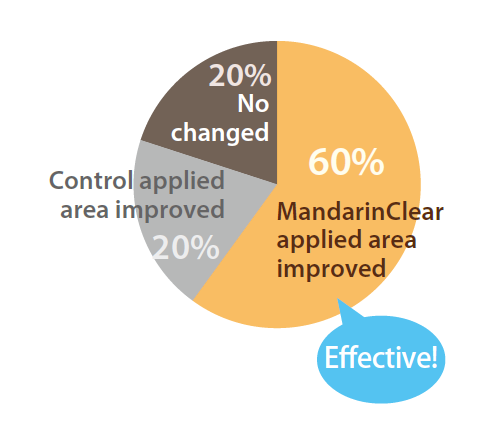 MandarinClear HS - Effects On Improving Skin Condition (Questionnaire Results)