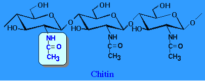 Aoxing Biotechnology Chitin (Food Grade Powder) - Chemical Structure