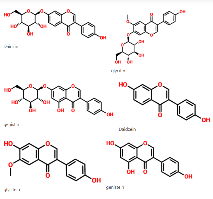 Shaanxi MR - Soybean Extract Powder - Plant Origin - Halal