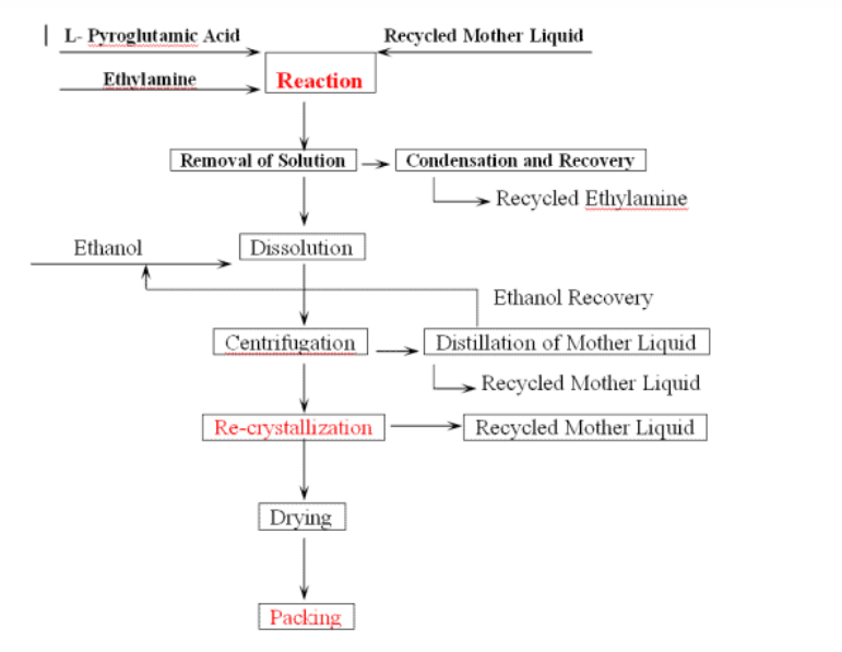 Shaanxi MR Natural Product L-Theanine - Manufacturing Flow Chart of L-Theanine