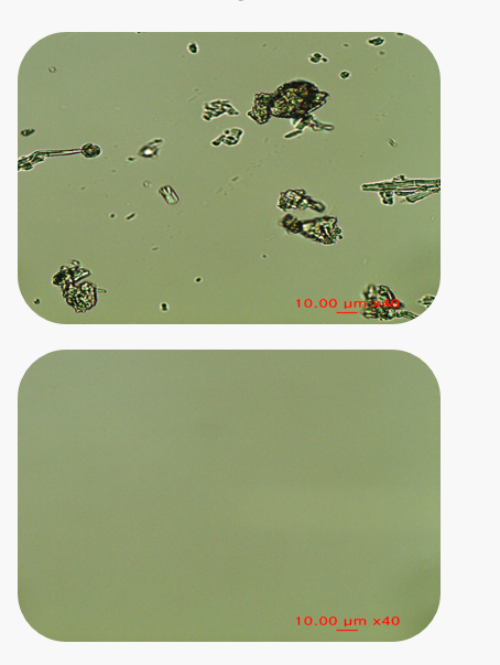 Mipaulic™ CR - Comparison Between 0.1% Ceramide Np(Top) And 1% Mipaulic™ Cr 5.0(Bottom) in Aqueous Solution [Optical Microscope Image].