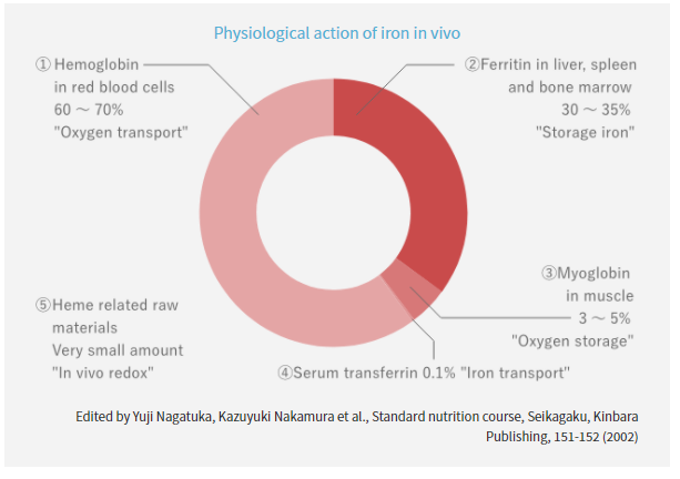 ILS Heme Iron - Functions of Iron in The Body