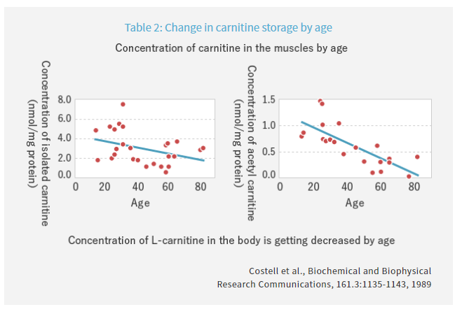 ILS L-Carnitine - Changes in The Amount of L-Carnitine Stored in The Body