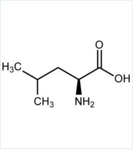 Premium Ingredient L-Leucine - Chemical Structure