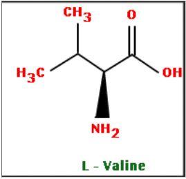 Premium Ingredient L-Valine - Chemical Structure