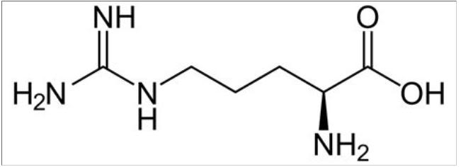 Premium Ingredient L-Arginine - Chemical Structure