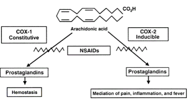 Alfa Chemistry Materials Parecoxib sodium - Application in The Treatment of Postoperative Pain